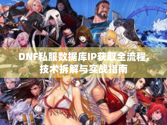 DNF私服数据库IP获取全流程,技术拆解与实战指南 DNF私服数据库IP获取全流程,技术拆解与实战指南