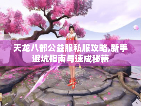 天龙八部公益服私服攻略,新手避坑指南与速成秘籍 天龙八部公益服私服攻略,新手避坑指南与速成秘籍