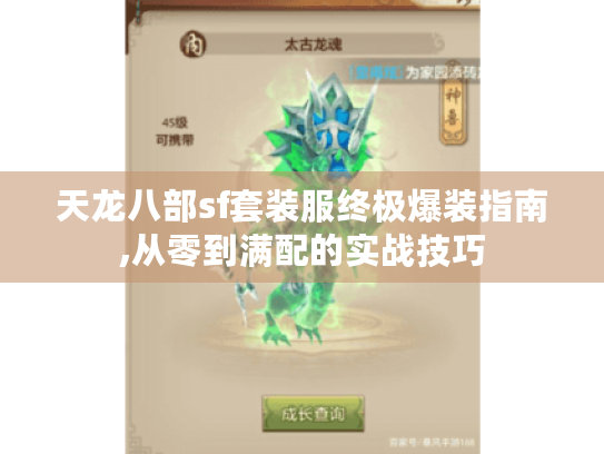 天龙八部sf套装服终极爆装指南,从零到满配的实战技巧