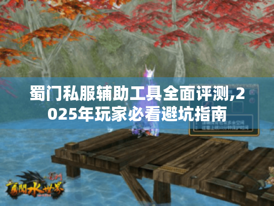 蜀门私服辅助工具全面评测,2025年玩家必看避坑指南 蜀门私服辅助工具全面评测,2025年玩家必看避坑指南