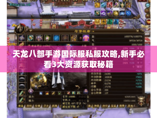 天龙八部手游国际服私服攻略,新手必看3大资源获取秘籍 天龙八部手游国际服私服攻略,新手必看3大资源获取秘籍