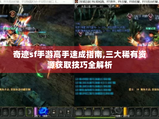 奇迹sf手游高手速成指南,三大稀有资源获取技巧全解析