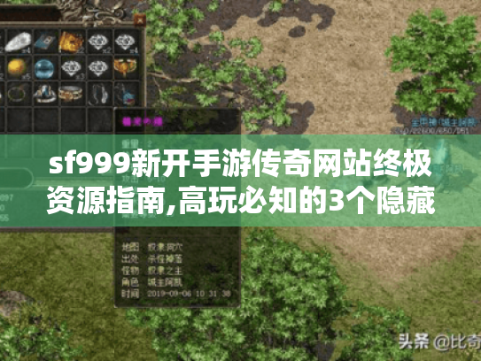 sf999新开手游传奇网站终极资源指南,高玩必知的3个隐藏入口 sf999新开手游传奇网站终极资源指南,高玩必知的3个隐藏入口