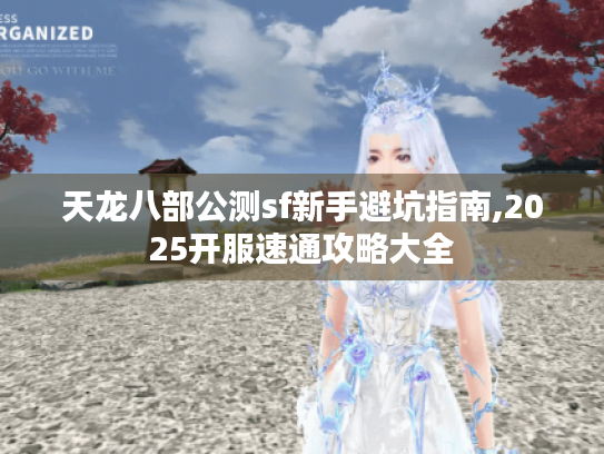 天龙八部公测sf新手避坑指南,2025开服速通攻略大全 天龙八部公测sf新手避坑指南,2025开服速通攻略大全