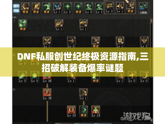 DNF私服创世纪终极资源指南,三招破解装备爆率谜题