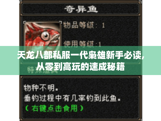 天龙八部私服一代枭雄新手必读,从零到高玩的速成秘籍 天龙八部私服一代枭雄新手必读,从零到高玩的速成秘籍