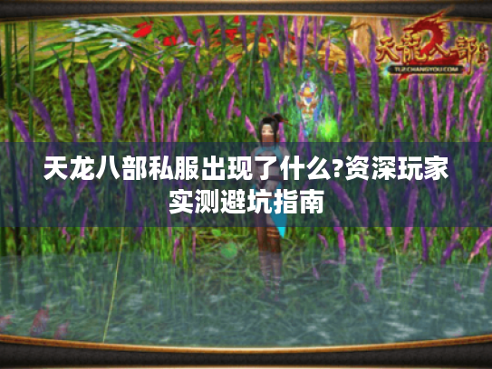 天龙八部私服出现了什么?资深玩家实测避坑指南