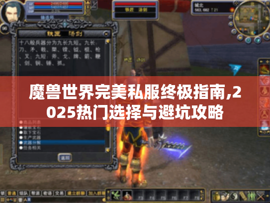 魔兽世界完美私服终极指南,2025热门选择与避坑攻略