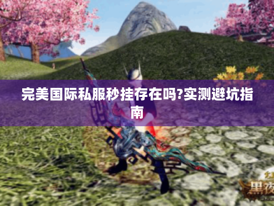 完美国际私服秒挂存在吗?实测避坑指南 完美国际私服秒挂存在吗?实测避坑指南