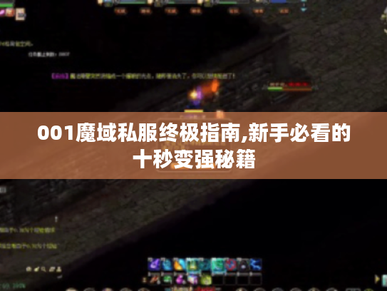 001魔域私服终极指南,新手必看的十秒变强秘籍 001魔域私服终极指南,新手必看的十秒变强秘籍