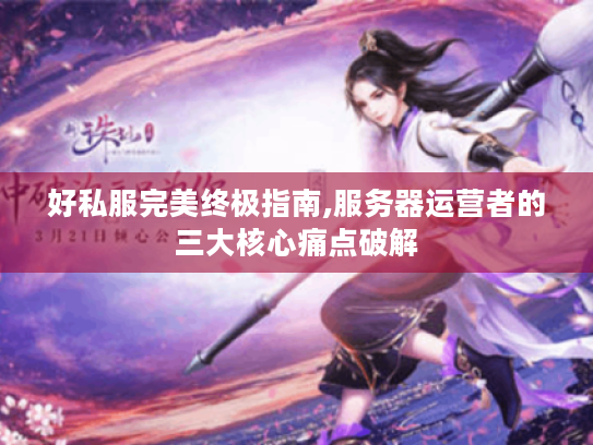 好私服完美终极指南,服务器运营者的三大核心痛点破解 好私服完美终极指南,服务器运营者的三大核心痛点破解
