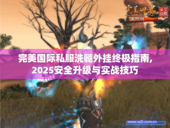 完美国际私服洗髓外挂终极指南,2025安全升级与实战技巧 完美国际私服洗髓外挂终极指南,2025安全升级与实战技巧