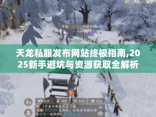 天龙私服发布网站终极指南,2025新手避坑与资源获取全解析