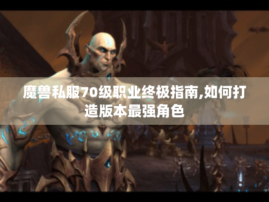 魔兽私服70级职业终极指南,如何打造版本最强角色