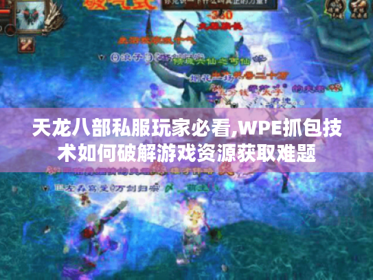 天龙八部私服玩家必看,WPE抓包技术如何破解游戏资源获取难题 天龙八部私服玩家必看,WPE抓包技术如何破解游戏资源获取难题