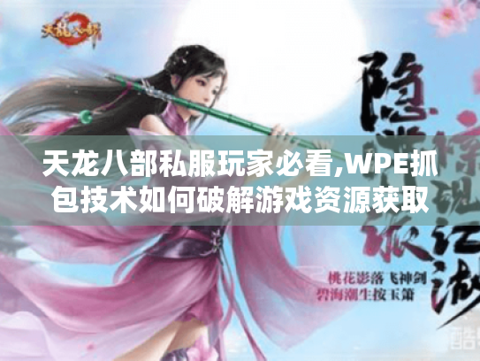 天龙八部私服玩家必看,WPE抓包技术如何破解游戏资源获取难题 天龙八部私服玩家必看,WPE抓包技术如何破解游戏资源获取难题