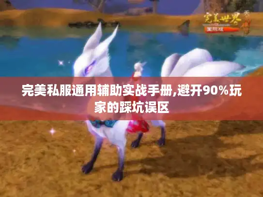 完美私服通用辅助实战手册,避开90%玩家的踩坑误区