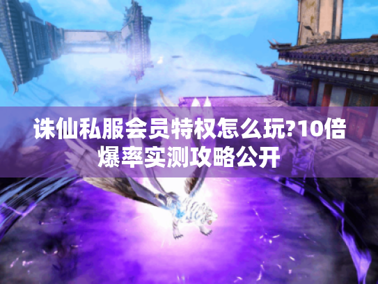 诛仙私服会员特权怎么玩?10倍爆率实测攻略公开
