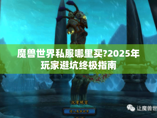 魔兽世界私服哪里买?2025年玩家避坑终极指南 魔兽世界私服哪里买?2025年玩家避坑终极指南