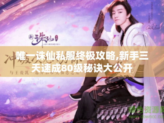 唯一诛仙私服终极攻略,新手三天速成80级秘诀大公开 唯一诛仙私服终极攻略,新手三天速成80级秘诀大公开