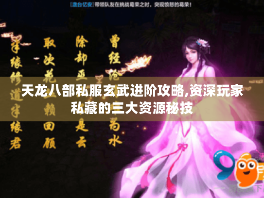 天龙八部私服玄武进阶攻略,资深玩家私藏的三大资源秘技 天龙八部私服玄武进阶攻略,资深玩家私藏的三大资源秘技
