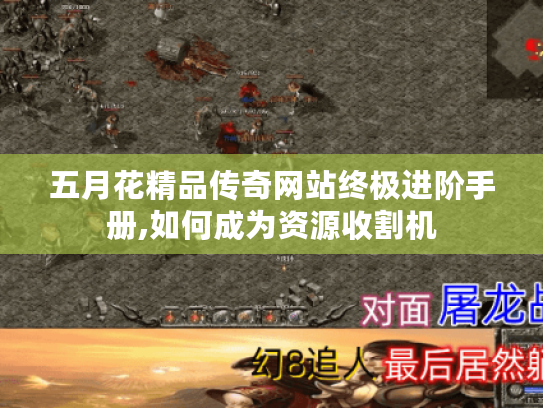 五月花精品传奇网站终极进阶手册,如何成为资源收割机 五月花精品传奇网站终极进阶手册,如何成为资源收割机