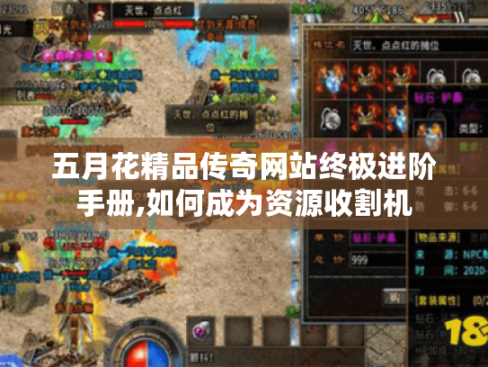五月花精品传奇网站终极进阶手册,如何成为资源收割机 五月花精品传奇网站终极进阶手册,如何成为资源收割机