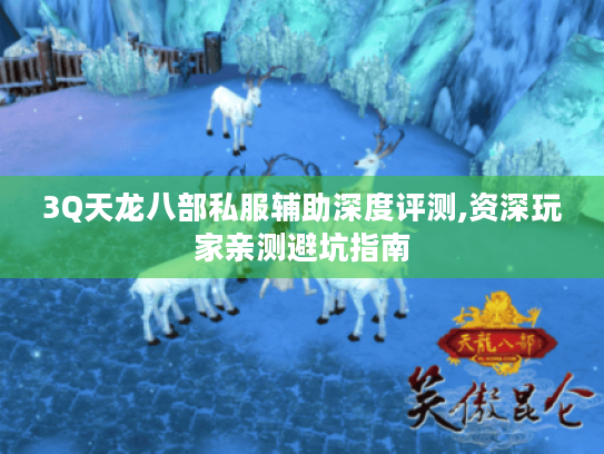3Q天龙八部私服辅助深度评测,资深玩家亲测避坑指南