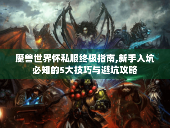 魔兽世界怀私服终极指南,新手入坑必知的5大技巧与避坑攻略