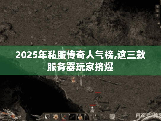 2025年私服传奇人气榜,这三款服务器玩家挤爆