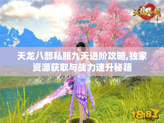 天龙八部私服九天进阶攻略,独家资源获取与战力速升秘籍