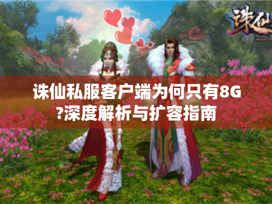 诛仙私服客户端为何只有8G?深度解析与扩容指南