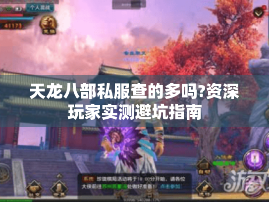 天龙八部私服查的多吗?资深玩家实测避坑指南