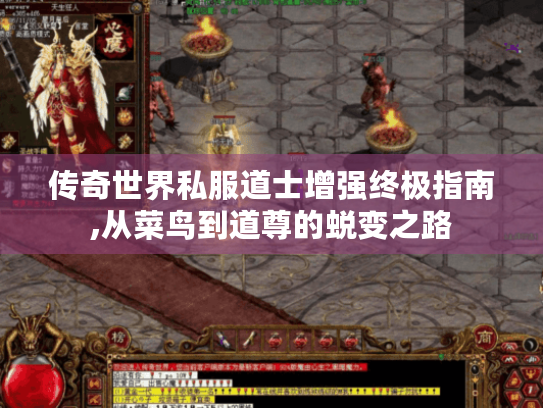传奇世界私服道士增强终极指南,从菜鸟到道尊的蜕变之路 传奇世界私服道士增强终极指南,从菜鸟到道尊的蜕变之路