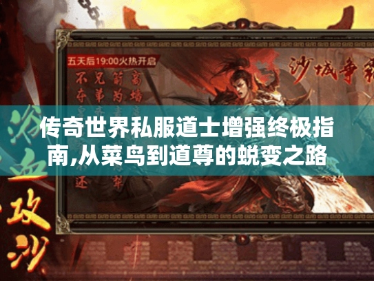 传奇世界私服道士增强终极指南,从菜鸟到道尊的蜕变之路 传奇世界私服道士增强终极指南,从菜鸟到道尊的蜕变之路