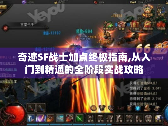 奇迹SF战士加点终极指南,从入门到精通的全阶段实战攻略 奇迹SF战士加点终极指南,从入门到精通的全阶段实战攻略