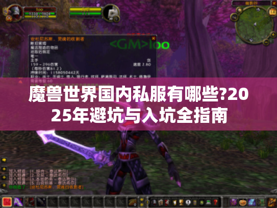 魔兽世界国内私服有哪些?2025年避坑与入坑全指南