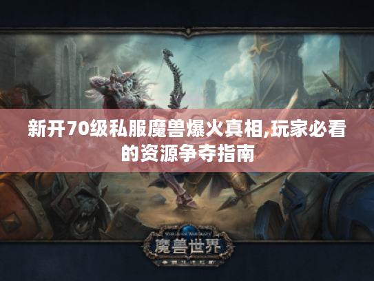 新开70级私服魔兽爆火真相,玩家必看的资源争夺指南