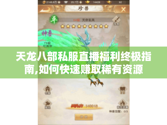 天龙八部私服直播福利终极指南,如何快速赚取稀有资源