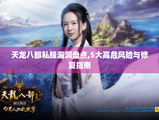 天龙八部私服漏洞盘点,5大高危风险与修复指南