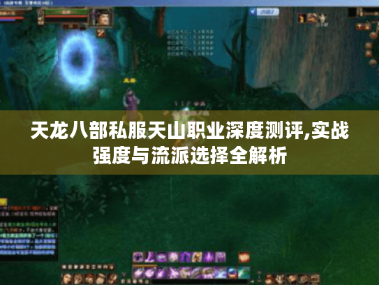 天龙八部私服天山职业深度测评,实战强度与流派选择全解析