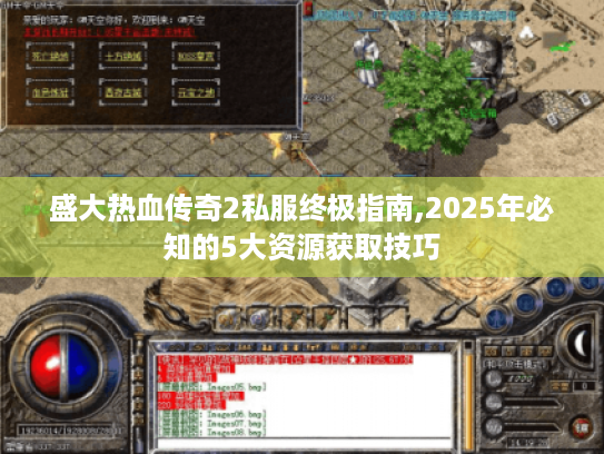 盛大热血传奇2私服终极指南,2025年必知的5大资源获取技巧 盛大热血传奇2私服终极指南,2025年必知的5大资源获取技巧