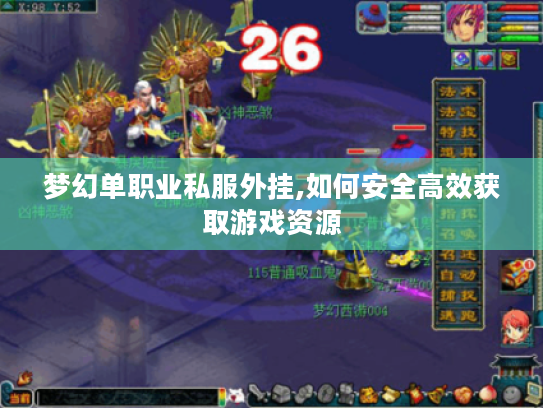梦幻单职业私服外挂,如何安全高效获取游戏资源 梦幻单职业私服外挂,如何安全高效获取游戏资源