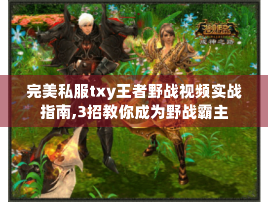 完美私服txy王者野战视频实战指南,3招教你成为野战霸主