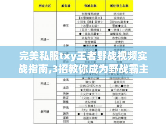 完美私服txy王者野战视频实战指南,3招教你成为野战霸主