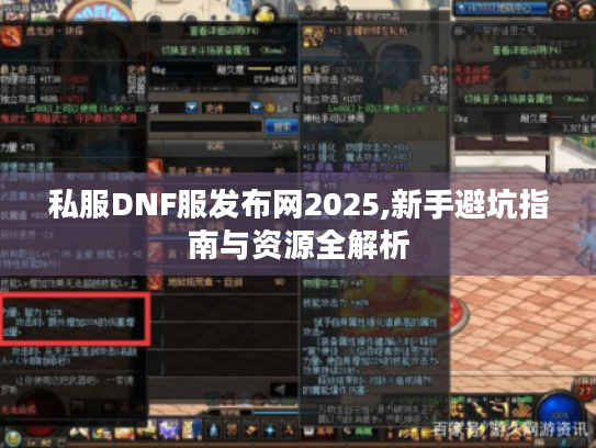 私服DNF服发布网2025,新手避坑指南与资源全解析 私服DNF服发布网2025,新手避坑指南与资源全解析