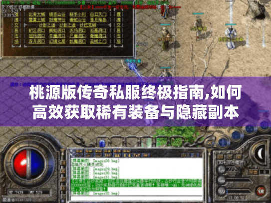 桃源版传奇私服终极指南,如何高效获取稀有装备与隐藏副本