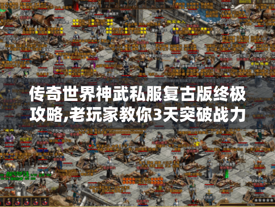 传奇世界神武私服复古版终极攻略,老玩家教你3天突破战力瓶颈 传奇世界神武私服复古版终极攻略,老玩家教你3天突破战力瓶颈