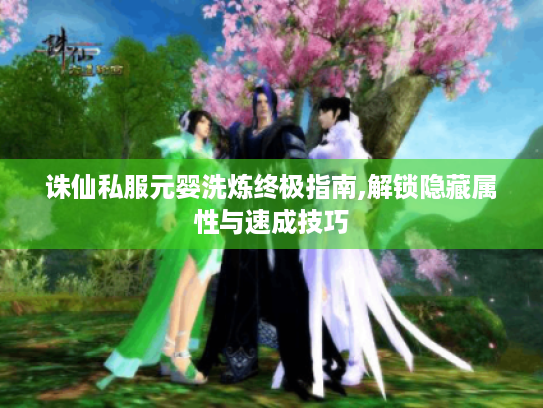 诛仙私服元婴洗炼终极指南,解锁隐藏属性与速成技巧
