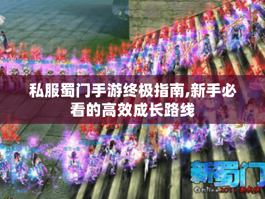 私服蜀门手游终极指南,新手必看的高效成长路线